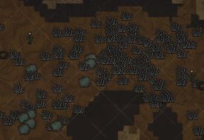 饥荒联机版百科苔藓区群系群系属性配图