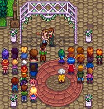 星露谷物语百科哈维婚后配图