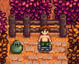 星露谷物语百科亚历克斯婚后配图