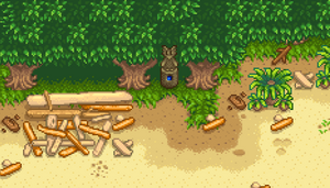 星露谷物语百科沙滩特征配图