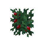 我的世界百科甜浆果属性配图