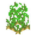 我的世界百科马铃薯属性配图