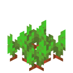 我的世界百科甜菜种子属性配图
