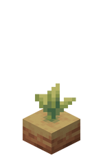 我的世界百科瓶子草荚果属性配图