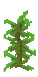 我的世界百科海带属性配图