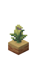 我的世界百科瓶子草荚果属性配图