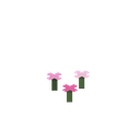 我的世界百科粉红色花簇用途配图