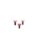 我的世界百科粉红色花簇用途配图