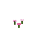 我的世界百科粉红色花簇用途配图