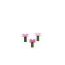 我的世界百科粉红色花簇用途配图