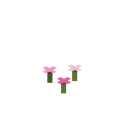 我的世界百科粉红色花簇用途配图