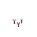 我的世界百科粉红色花簇用途配图