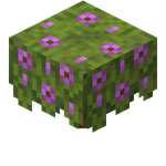 我的世界百科杜鹃花丛属性配图