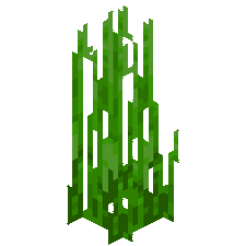 我的世界百科海草属性配图 我的世界百科海草属性配图