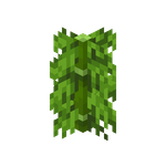 我的世界百科竹子属性配图 我的世界百科竹子属性配图