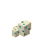 我的世界百科海龟蛋属性配图