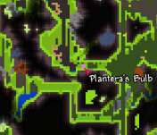 泰拉瑞亚原版百科世纪之花召唤方式配图