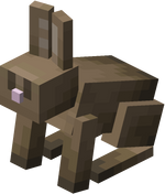 我的世界百科兔子属性配图