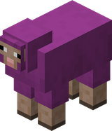 我的世界百科绵羊属性配图