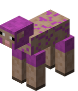 我的世界百科绵羊属性配图