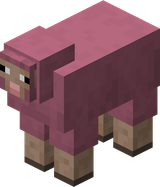 我的世界百科绵羊属性配图