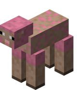 我的世界百科绵羊属性配图