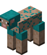 我的世界百科绵羊属性配图