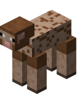 我的世界百科绵羊属性配图