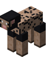 我的世界百科绵羊属性配图