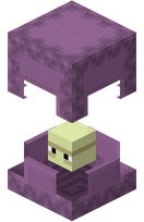 我的世界百科潜影贝属性配图