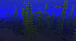 我的世界百科冷水海洋属性配图