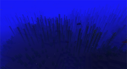 我的世界百科冷水深海属性配图