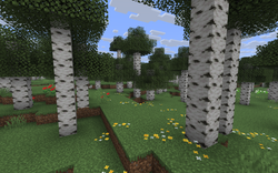 我的世界百科原始桦木森林属性配图