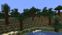 我的世界百科针叶林属性配图 我的世界百科针叶林属性配图