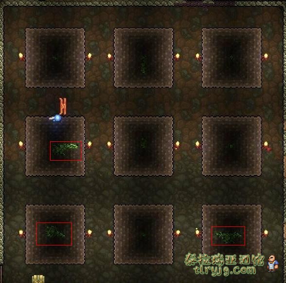 泰拉瑞亚原版百科叶绿矿配图 泰拉瑞亚原版百科叶绿矿配图