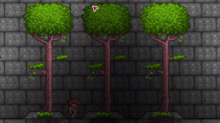 泰拉瑞亚原版百科树球配图