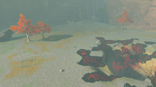 塞尔达旷野之息百科阿卡莱练兵场遗迹属性配图