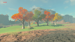 塞尔达旷野之息百科南阿卡莱平原西部属性配图