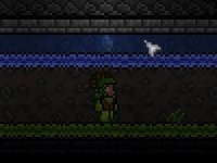 泰拉瑞亚原版百科草配图