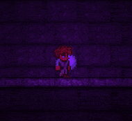 泰拉瑞亚原版百科暗影珠配图