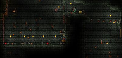 泰拉瑞亚原版百科尖球机关配图