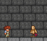 泰拉瑞亚原版百科英勇球配图 泰拉瑞亚原版百科英勇球配图