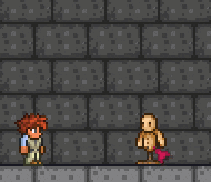 泰拉瑞亚原版百科冰雪悠悠球配图