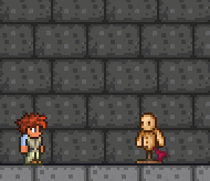 泰拉瑞亚百科喷流球配图