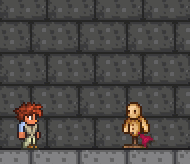 泰拉瑞亚百科亚马逊球配图