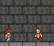 泰拉瑞亚百科代码1球配图