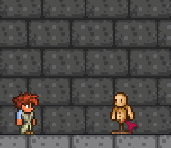 泰拉瑞亚百科代码2球配图