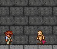 泰拉瑞亚百科好胜球配图