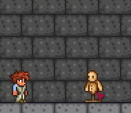 泰拉瑞亚百科渐变球配图