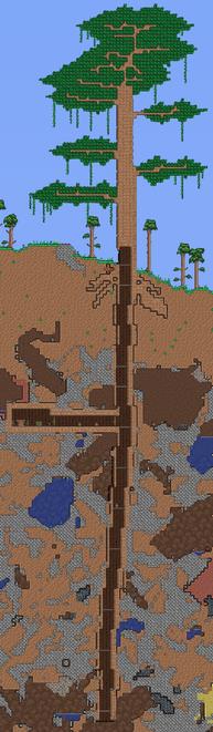 泰拉瑞亚百科生命树配图